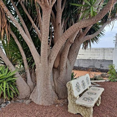 Tenerife Apartment Dulcynea With Terrace And Garden 600M2 With Ocean And Teide View Icod de los Vinos Kültér fotó