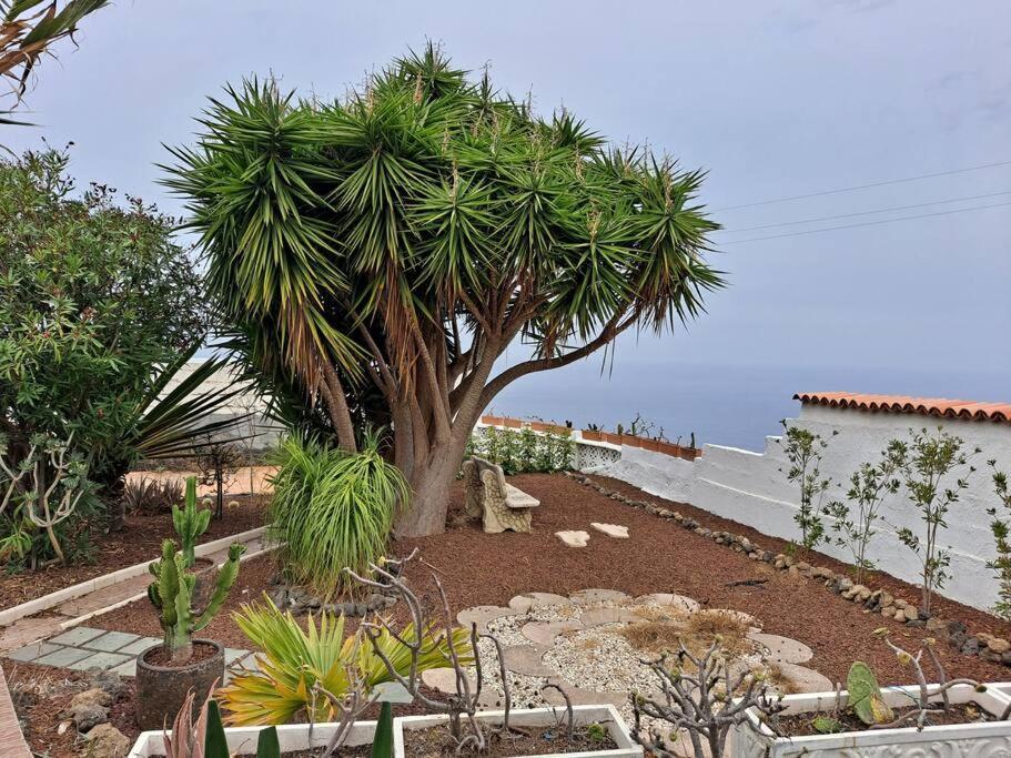 Tenerife Apartment Dulcynea With Terrace And Garden 600M2 With Ocean And Teide View Icod de los Vinos Kültér fotó