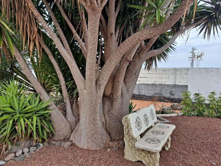 Tenerife Apartment Dulcynea With Terrace And Garden 600M2 With Ocean And Teide View Icod de los Vinos Kültér fotó