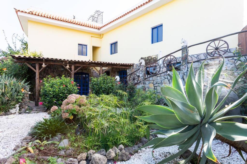 Tenerife Apartment Dulcynea With Terrace And Garden 600M2 With Ocean And Teide View Icod de los Vinos Kültér fotó