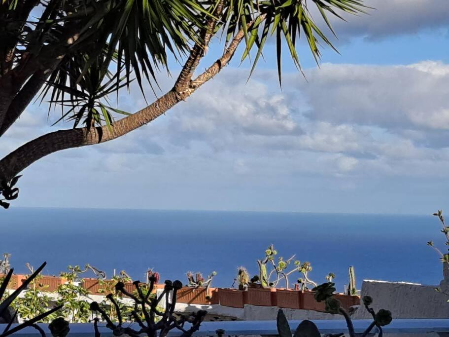Tenerife Apartment Dulcynea With Terrace And Garden 600M2 With Ocean And Teide View Icod de los Vinos Kültér fotó